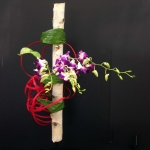 Anne-Marie Spriggs1a