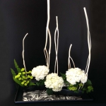 Susan Thorpe Toshie Hall1a