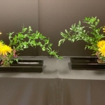 Diana-Oliviero3-Ichiyo