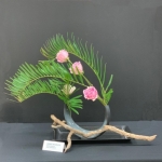 Gerry-Boulon-Banmi-Shofu