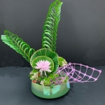 Holly-Wainwright2-Sogetsu