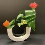 Patsy-Beyer3-Sogetsu