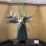 Ric-Carrasco2-Banmi-Shofu