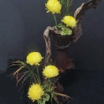 Sarita-Lastrapes3-Banmi-Shofu