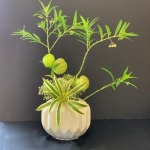 Aimee-Jackson3-Sogetsu