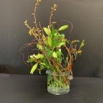 Donna-Oglesby-Ichiyo