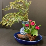 Donna-Oglesby2-Ichiyo