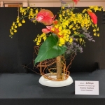 Jeanne-Houlton-Ichiyo