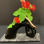 Laurel-Fooks2-Banmi-Shofu