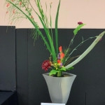 Muriel-Scrivener-Ikenobo