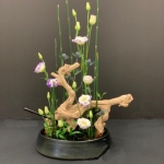 Patricia-Carey-Ichiyo