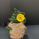 Sybille-Ruschmeier-Sogetsu