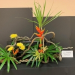 Barbara-Goss2-Sogetsu