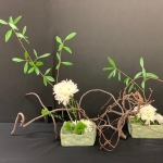 Carmen-Schmidt2-Sogetsu