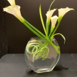 Diana-Oliviero4-Ichiyo