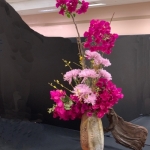 Greg-Alderson2-Banmi-Shofu