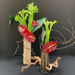 Julie-MacNary-Sogetsu