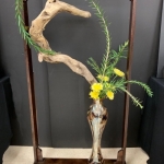 Laurel-Fooks3-Banmi-Shofu