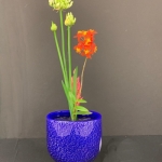 Michael-Beedenbender-Ikenobo