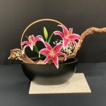 Veronica-Serra-Sogetsu