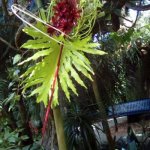 IM7iAQBLTW2pZCqTk-5GJg