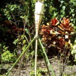 ZASFQr547TZW3XEIVh5oycA