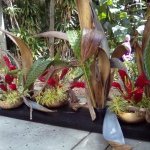 ZatBTZJxgSQOAu-tGA2e2Cw