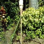 beNH3bCqQVqgl-N1RZBshQ