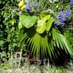 dNn6Ot95Q-6FQC6PumjUgA