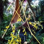 ecvI4SuNQm6Gflmg4lON8Q