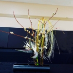 DSC03297_jpeg (577x640)