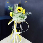 DSC03335_jpeg (427x640)