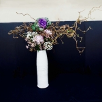 DSC03359_jpeg (561x640)