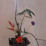 IMG_1781 - Copy (360x640)