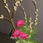 IMG_1820 (360x640) - Copy