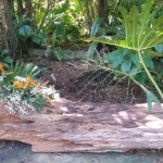 20170217_111350 (640x360)