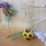 IMG_1673 - Copy (640x480)