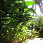 IMG_1677 - Copy (640x480)