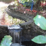 IMG_1682 - Copy (640x480)