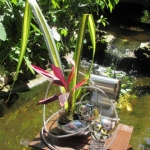 IMG_1685 - Copy (640x480)