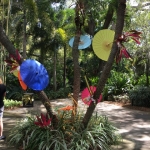 IMG_1687 - Copy (2) (480x640)