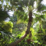 IMG_1693 - Copy (640x480)