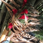 IMG_1698 - Copy (640x480)