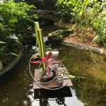 IMG_1702 - Copy (2) (480x640)