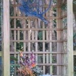 IMG_1702 - Copy (640x480)