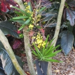 IMG_1715 - Copy (640x360)