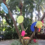 IMG_1721 - Copy (640x360)