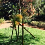 IMG_7698_jpeg (477x640)