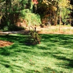 IMG_7717_jpeg (640x302)