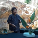 J-20170219_134814_resized_jpeg (640x480)